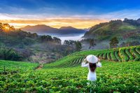 kerala Tour