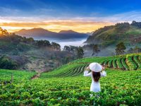 kerala Tour