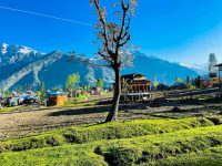 Kashmir Tour - Image 2