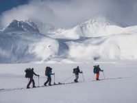 Ladakh tour