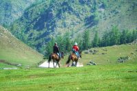 Kashmir Tour - Image 3