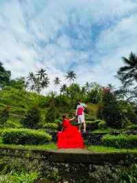kerala Tour - Image 3
