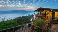 kerala Tour - Image 4