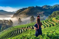 kerala Tour - Image 2